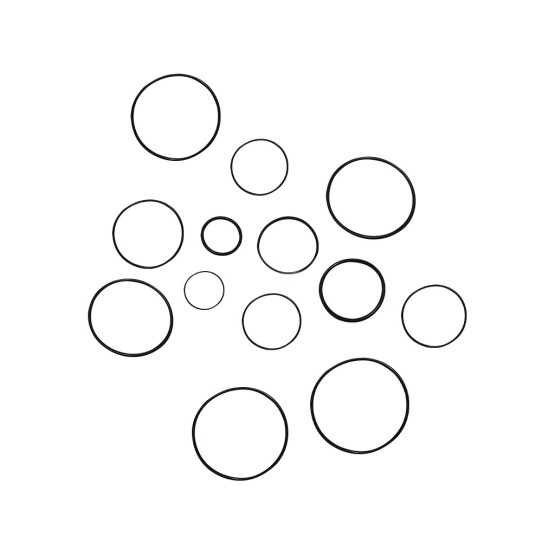 Kit Reparo Bomba Hidrostática Aplicável Bobcat - 6671516