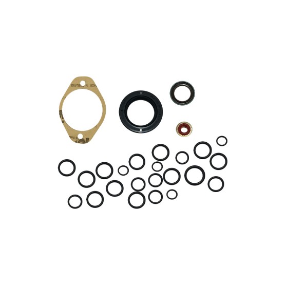 Kit Reparo Bomba Hidrostática Aplicável Bobcat - 6671516