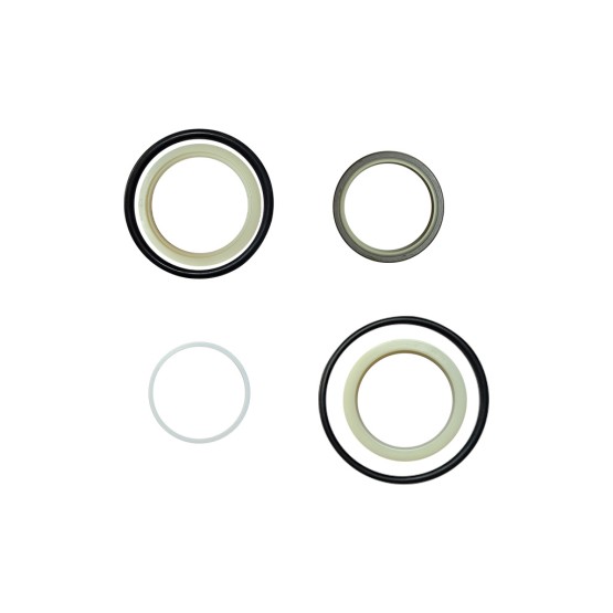 Reparo do Cilindro da Lança Aplicável Retroescavadeira JCB - 336F1981